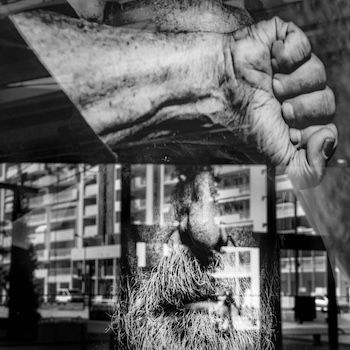 Chemin faisant assidument